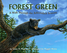 Forest Green (A Walk Through the Adirondack Seasons) by Maggie Henry, Liana Mahoney, 9781595310477