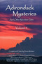 Adirondack Mysteries (And Other Mountain Tales) by Dennis Webster, 9781595310552