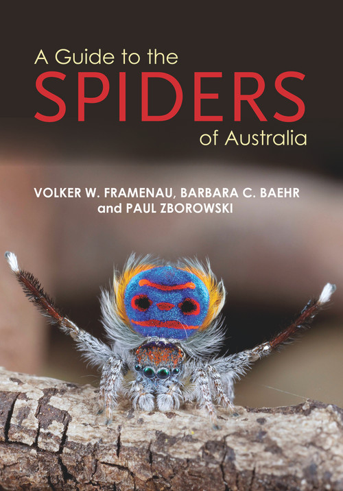 A Guide to Spiders of Australia by Paul Zborowski, 9781921517242
