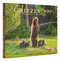 Grizzly 399 (The World's Most Famous Mother Bear) by Thomas D. Mangelsen, Todd Wilkinson, Anderson Cooper, 9780847899241