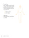 Reiki Illustrated (The Visual Reference Guide of Hand Positions, Symbols, and Treatment Sequences for Common Conditions) by Hae Lee, 9780593435656