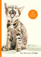 For the Love of Cats: 25 Postcards by Ana Sampson, Sarah Maydock, 9781399600132