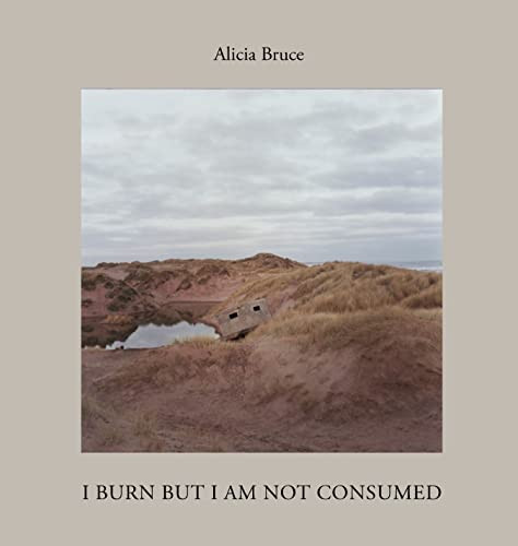 I Burn But Am Not Consumed by Alicia Bruce, Karine Polwart, Lesley Riddoch, Louise Pearson, 9781954119246
