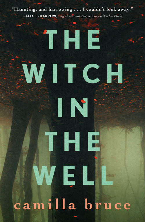 The Witch In The Well - 9781250302076 by Camilla Bruce, 9781250302076