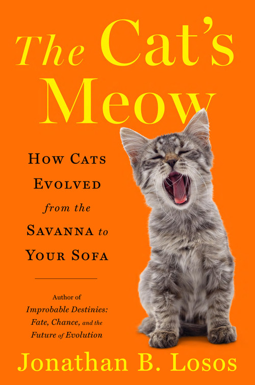 The Cat's Meow (How Cats Evolved from the Savanna to Your Sofa) by Jonathan B. Losos, 9781984878700