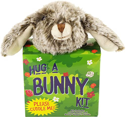 HUG A BUNNY KIT by , 9781441338013
