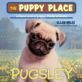 The Puppy Place #24: Bandit (Puppy Place:#9 Pugsley Digital Download) by Ellen Miles, 9780545422307