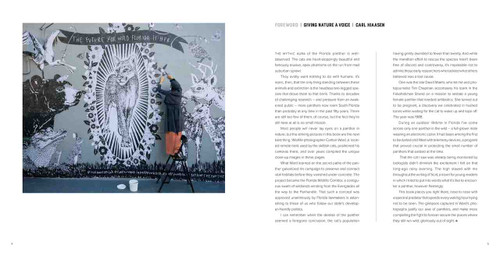 Path of the Panther (New Hope for Wild Florida) by Carlton Ward, Jr., Carl Hiaasen, 9781426223624