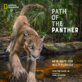 Path of the Panther (New Hope for Wild Florida) by Carlton Ward, Jr., Carl Hiaasen, 9781426223624