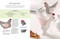 A Year of Felt Decorations (Easy-to-sew accessories for every season) by Corinne Lapierre, 9781800920477