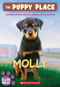 Molly (The Puppy Place #31) by Ellen Miles, 9780545462426