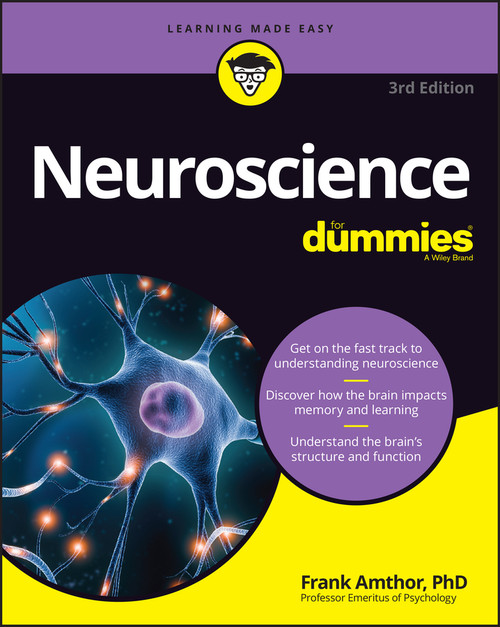 Neuroscience For Dummies - 9781394171217 by Frank Amthor, 9781394171217