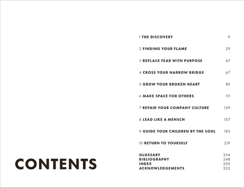 What Would You Do If You Weren't Afraid? (Creating a Meaningful Life in Uncertain Times) by Michal Oshman, 9780744083859