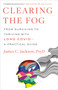 Clearing the Fog (From Surviving to Thriving with Long Covid-A Practical Guide) by James C. Jackson, 9780316530095