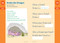 Brain Quest Workbook: 1st Grade Revised Edition by Workman Publishing, Lisa Trumbauer, 9781523517350