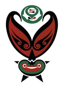 Emotion As Promotion (A Book of Thirst) by Rick Valicenti, 9781580930970