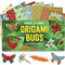 Origami Bugs Kit (Origami Fun for Everyone!: Kit with 2 Origami Books, 20 Fun Projects and 98 Origami Papers: Great for Both Kids and Adults) by Michael G. LaFosse, 9780804846479