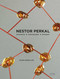 Nestor Perkal (Architecte Scénographe Designer) (French Edition) by Jeanne Quéheillard, 9782376660682