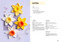 All-New Twenty to Make: Flowers to Crochet by Sarah-Jane Hicks, 9781800921009