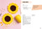 All-New Twenty to Make: Flowers to Crochet by Sarah-Jane Hicks, 9781800921009