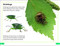 DK Super Readers Level 3 Bugs! Bugs! Bugs! - 9780744072020 by DK