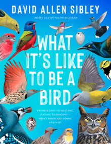 What It's Like to Be a Bird (Adapted for Young Readers) (From Flying to Nesting, Eating to Singing--What Birds Are Doing and Why) by David Allen Sibley, 9780593430187
