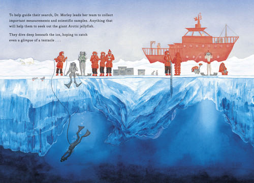 The Search for the Giant Arctic Jellyfish by Chloe Savage, Chloe Savage, 9781536228519