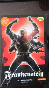 Frankenstein The Graphic Novel: Original Text by Mary Shelley, 9781906332495