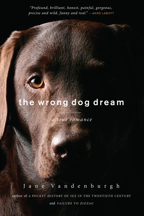 The Wrong Dog Dream (A True Romance) by Jane Vandenburgh, 9781619023178