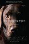The Wrong Dog Dream (A True Romance) by Jane Vandenburgh, 9781619023178
