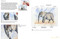 Watercolour Animals for the Absolute Beginner by Matthew Palmer, 9781800920507