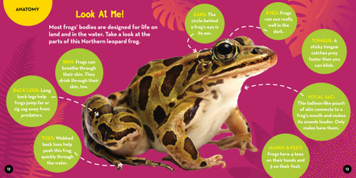 Go Wild! Frogs - 9781426373862 by Alicia Klepeis