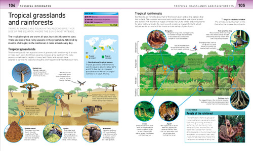 Help Your Kids with Geography (A Unique Step-by-Step Visual Guide) by DK, 9780744080759