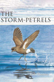 The Storm-petrels by Rob Thomas, 9781472985828