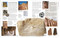 Rock and Gem by DK, 9780744080773