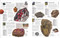 Rock and Gem by DK, 9780744080773