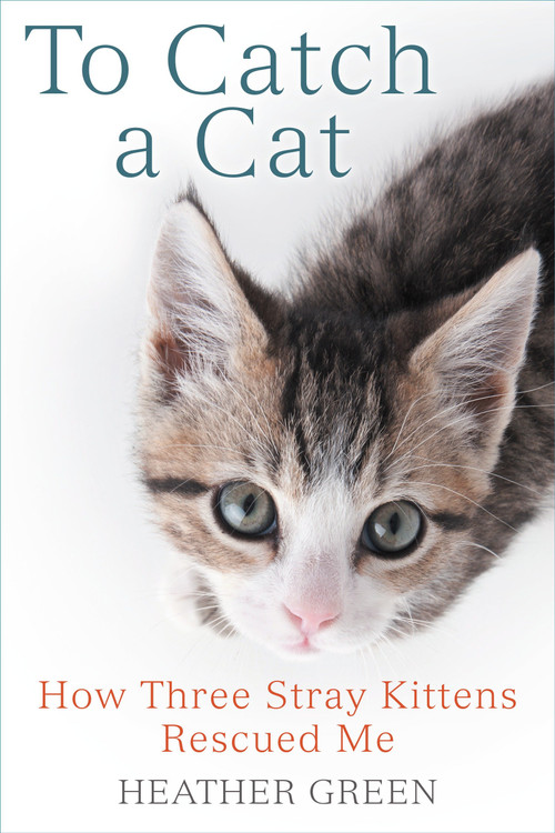 To Catch a Cat (How Three Stray Kittens Rescued Me) by Heather Green, 9780425281987