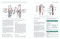 Yoga Anatomy Made Simple (Your Illustrated Guide to Form, Function, and Posture Groups) by Stu Girling, Bug Fawcett, 9781623179069