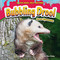 Bubbling Drool (Gross Opossums) by Rex Ruby, 9798885095082