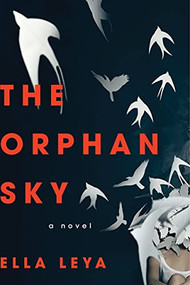 The Orphan Sky by Ella Leya, 9781402298653