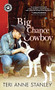 Big Chance Cowboy by Teri Anne Stanley, 9781492674337