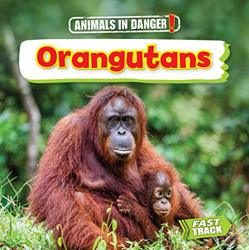 Orangutans - 9781781214664 by Nancy Dickmann, 9781781214664