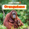 Orangutans - 9781781214664 by Nancy Dickmann, 9781781214664
