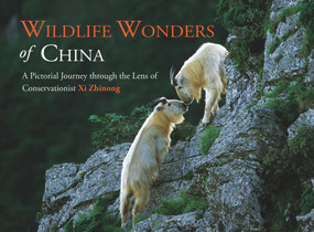 Wildlife Wonders of China (A Pictorial Journey through the Lens of Conservationist Xi Zhinong) by Rosamund Kidman Cox, Zhinong Xi, Cheng Shen, 9781602200111