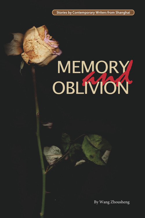 Memory and Oblivion by Zhousheng Wang, 9781602202443