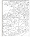 Bob Ross Color-by-Number by Editors of Thunder Bay Press, Carolyn Saletto, 9781667201818