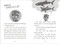 The Secret Explorers and the Sunken Treasure - 9780744080384 by SJ King
