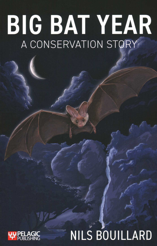 Big Bat Year (A Conservation Story) by Nils Bouillard, 9781784273101
