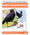 Animales que resuelven problemas (Animal Problem Solving) (Spanish Edition) by Michelle Garcia Andersen, 9781731654526