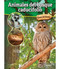 Animales del bosque caducifolio (Deciduous Forest Animals) (Spanish Edition) - 9781731655127 by Lisa Colozza Cocca, 9781731655127